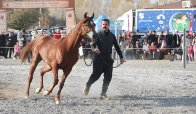 Ürgüp’te En Güzel Atlar Yarıştı